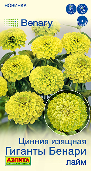 Цинния Гиганты Бенари лайм Цинния Гиганты Бенари лайм