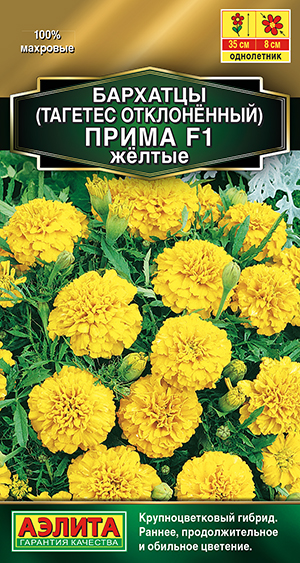 �������� ����� ������ F1 �����������