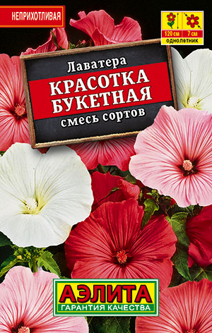 Лаватера Красотка букетная, смесь сортов Лаватера Красотка букетная, смесь сортов