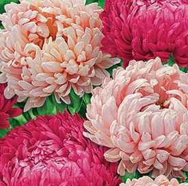 ����� ��������� ����������� �����, ����������� ����� ������ (������� � �����)