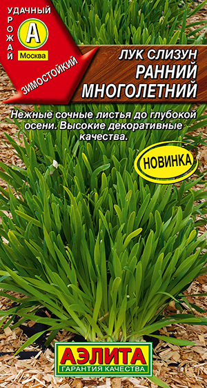 Лук слизун Ранний многолетний