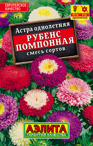 Астра Рубенс помпонная, смесь сортов Астра Рубенс помпонная, смесь сортов