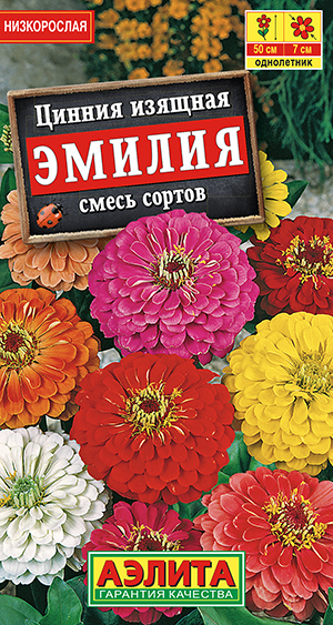 ������ ������, ����� ������