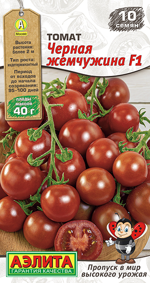 ����� ������ ��������� F1