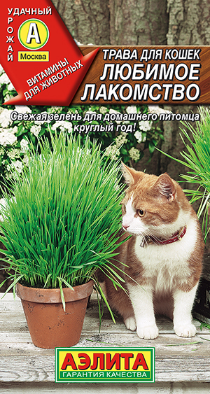 ����� ��� ����� ������� ���������