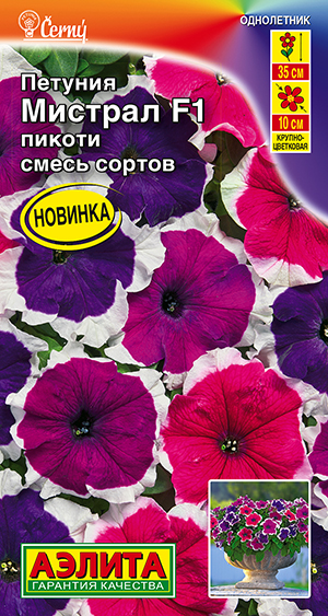 Петуния Мистрал F1 пикоти крупноцветковая, смесь сортов Петуния Мистрал F1 пикоти крупноцветковая, смесь сортов