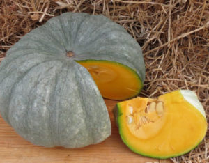 Тыква крупноплодная Мраморная Тыква крупноплодная Мраморная