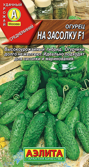 ������ �� ������� F1