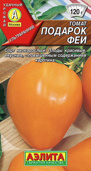 ����� ������� ���