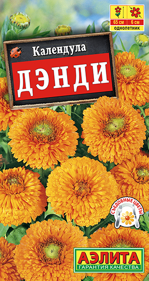 ��������� �����