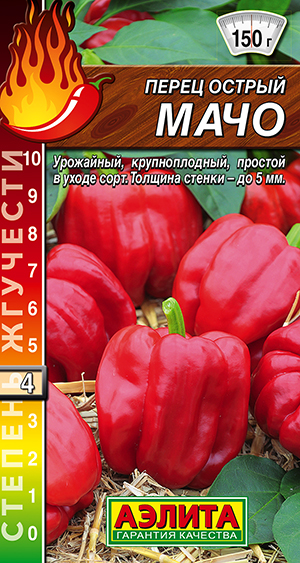 ����� ������ ����