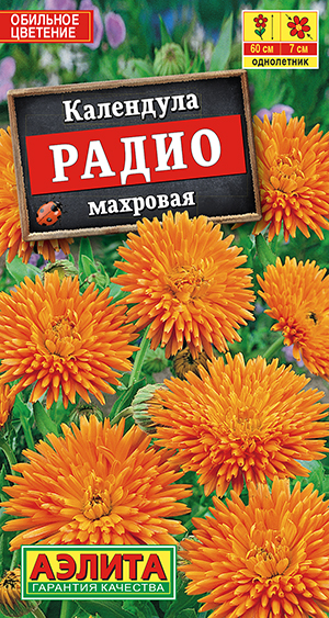 ��������� ����� ��������