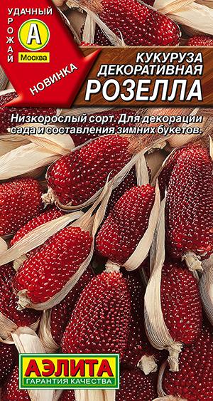 �������� ������������ �������