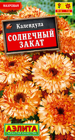 ��������� ��������� �����