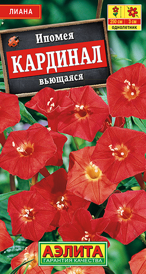 ������ �������� ��������