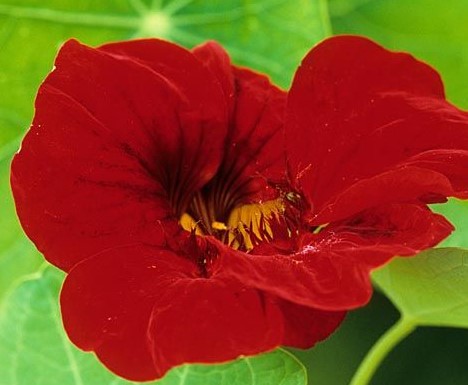 ��������� ���������� ���������� ��� ��� ��������