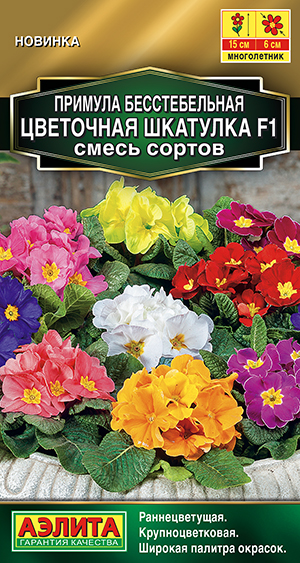 ������� ��������� �������� F1, ����� ������