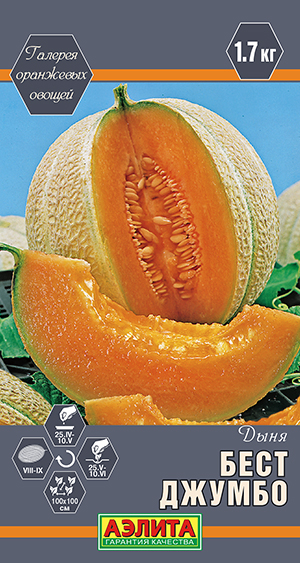 Дыня Бест Джумбо Дыня Бест Джумбо