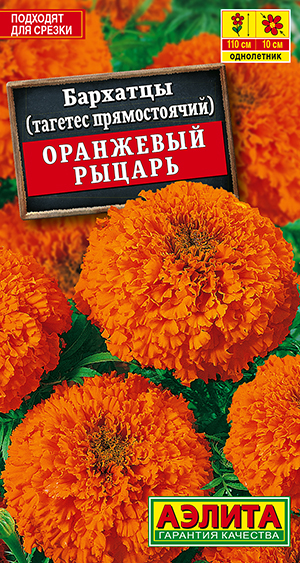 �������� ��������� ������ ������������