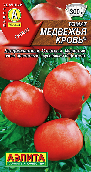 ����� �������� �����