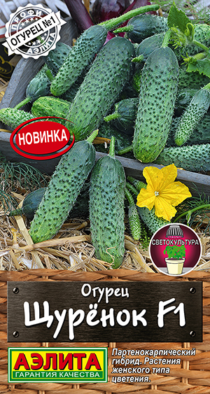 ������ ������ F1