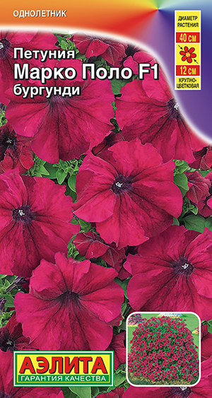 ������� ����� ���� F1 ��������