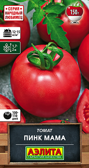 ����� ���� ����