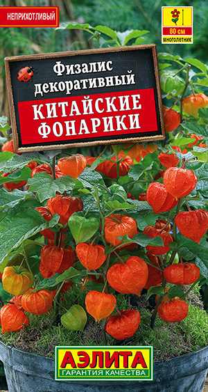 �������  ��������� ��������