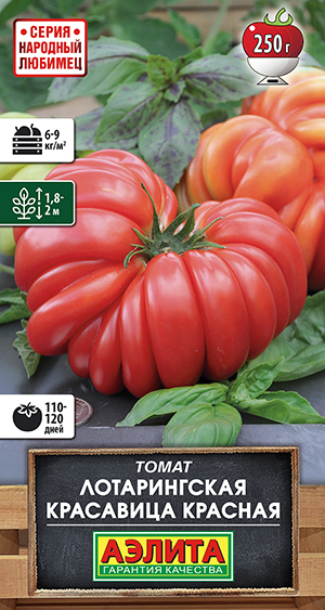 ����� ������������ ��������� �������