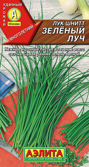 Лук шнитт Зеленый луч Лук шнитт Зеленый луч