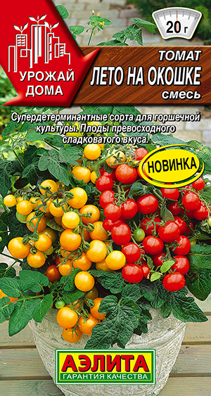 ����� ���� �� ������, �����