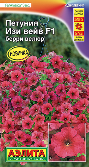 Петуния Изи вейв F1 берри велюр Петуния Изи вейв F1 берри велюр
