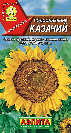 Подсолнечник Казачий Подсолнечник Казачий