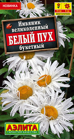 Нивяник великолепный Белый пух букетный Нивяник великолепный Белый пух букетный