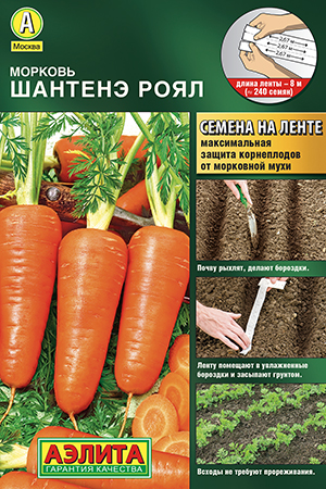 ������� ������� ����