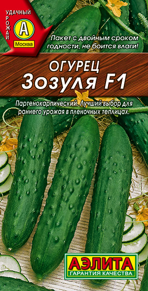 ������ ������ F1