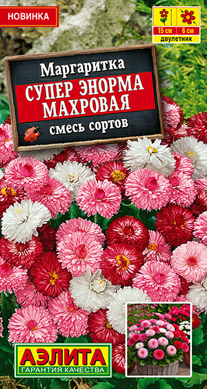 Маргаритка Супер Энорма, смесь сортов Маргаритка Супер Энорма, смесь сортов