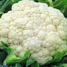 Капуста цветная Осенний гигант Капуста цветная Осенний гигант