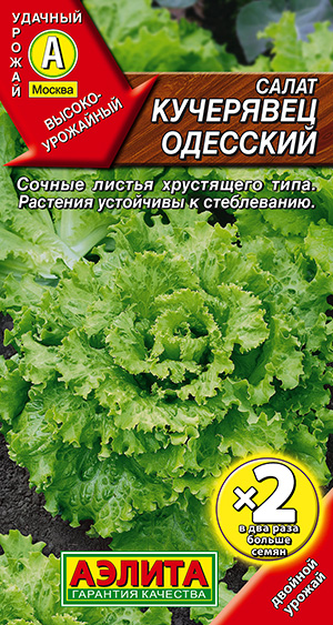 ����� ��������� �������� ������������