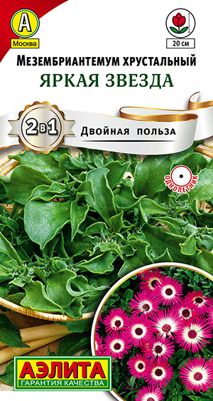 ��������������� ����� ������