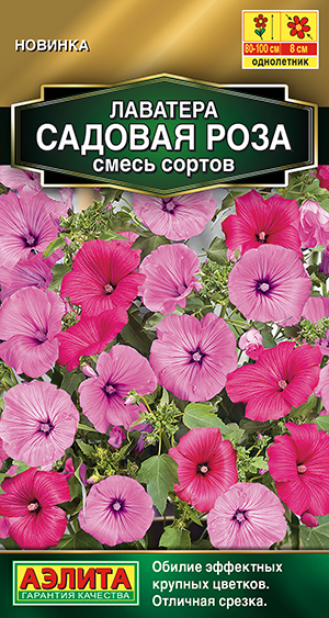 Лаватера Садовая роза, смесь сортов Лаватера Садовая роза, смесь сортов