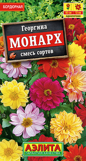 Георгина Монарх, смесь сортов Георгина Монарх, смесь сортов