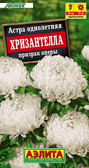 ����� ����������� ������� �����