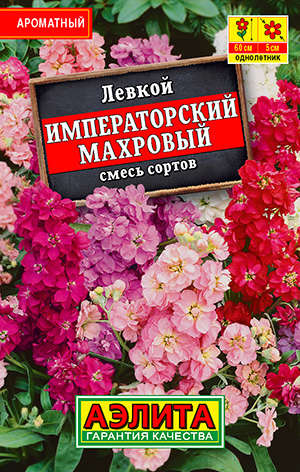 Левкой Императорский махровый, смесь сортов Левкой Императорский махровый, смесь сортов