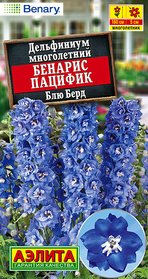 Дельфиниум Бенарис пацифик блю берд