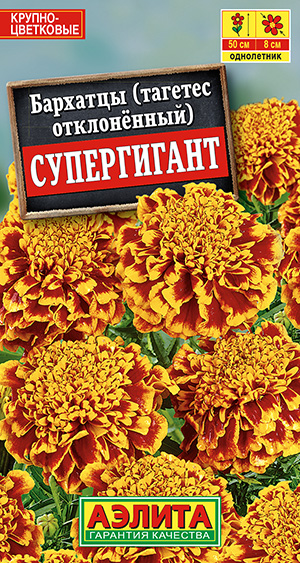 �������� ����������� �����������