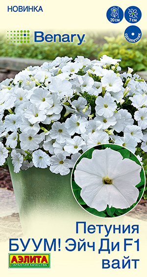 Петуния БУУМ! Эйч Ди F1 Вайт многоцветковая Петуния БУУМ! Эйч Ди F1 Вайт многоцветковая