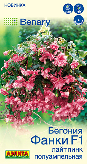 Бегония Фанки F1 лайт пинк полуампельная Бегония Фанки F1 лайт пинк полуампельная