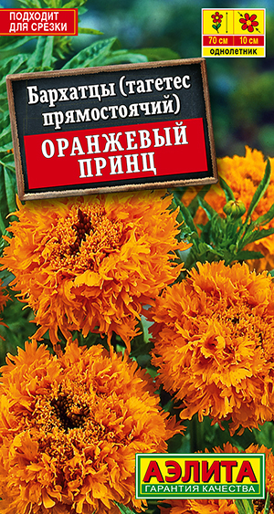 �������� ��������� �����