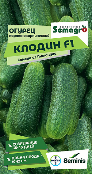 Огурец Клодин F1 Огурец Клодин F1